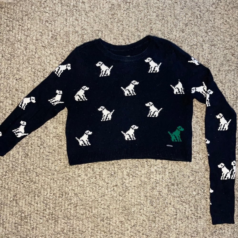 Abercrombie & Fitch Cropped Sweater